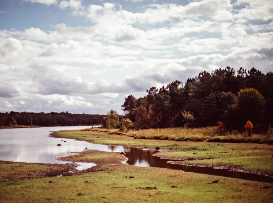 Domaine de la Trigalière